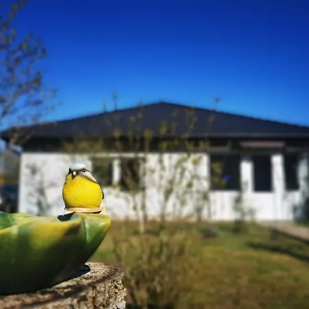 Land.natur.erholen. * Wolgast